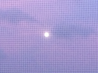 IMG_0827.JPG