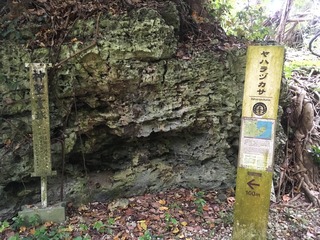 IMG_1218.JPG