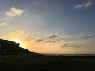 IMG_1685.jpg