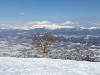 IMG_1801.jpg