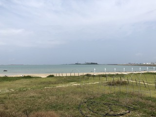 IMG_2049.jpg