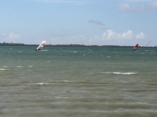 IMG_2172.jpg