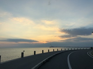 IMG_2240.jpeg