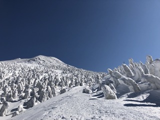 IMG_2653.jpeg