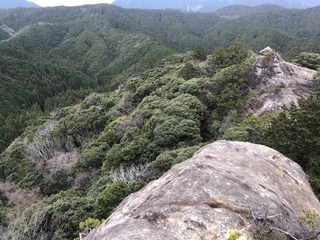 IMG_2700.jpeg