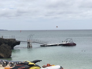 IMG_2741.jpeg
