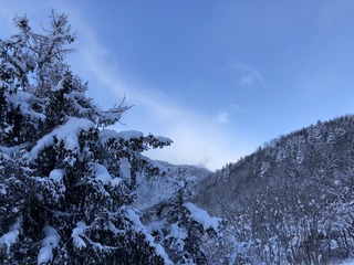 IMG_3353.jpeg