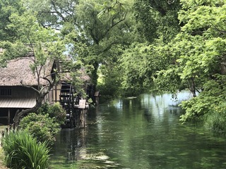 IMG_3679.jpeg