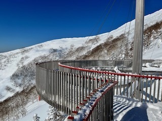 IMG_4212.JPG